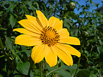 Dscn1411