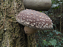 Dscn2074