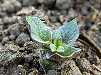 Dscn2172_2