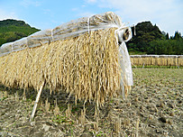 Dscn2911