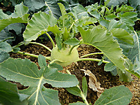 Dscn3234 Dscn3234
