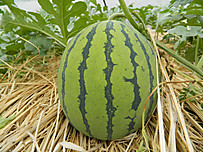 Dscn3772