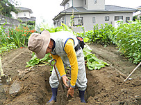 Dscn3845
