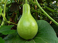Dscn3938