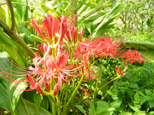 Dscn4091