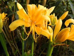 Dscn4094