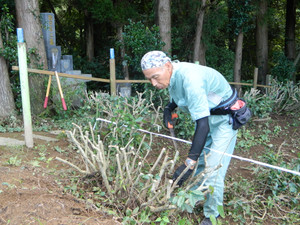 Dscn5116