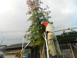 Dscn5581_2