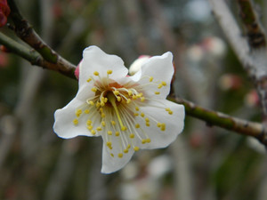 Dscn5687
