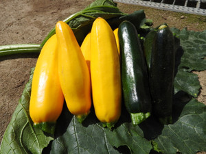 Dscn9216_2
