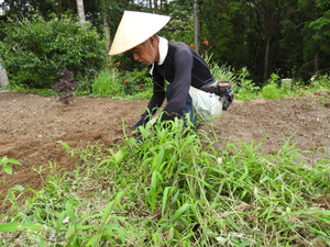 Dscn9549