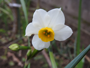 Dscn0267