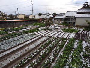 Dscn0370