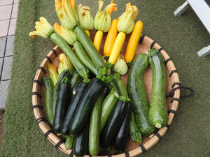 Dscn3172