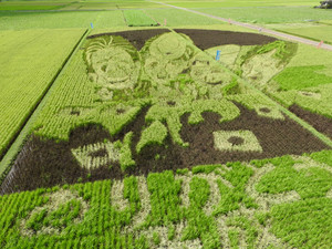 Dscn9788
