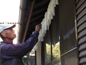 Dscn0149