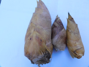 Dscn9701