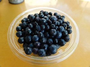 Dscn9738 Dscn9738