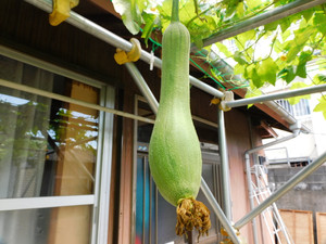 Dscn9750