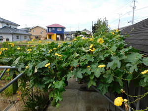 Dscn9943
