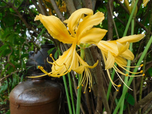Dscn9973