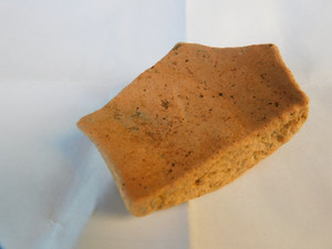 Dscn0027