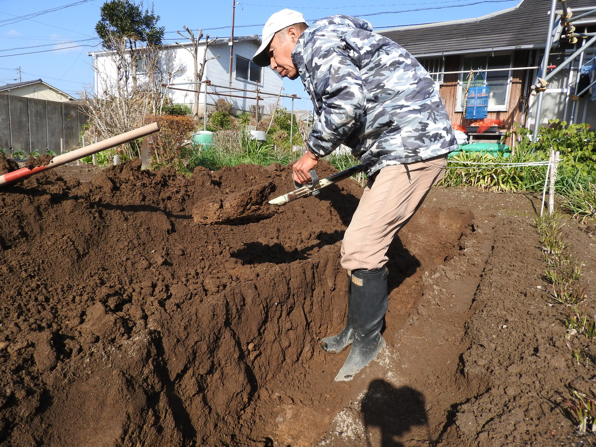ロードマン行動記 土壌改良に天地返しに着手