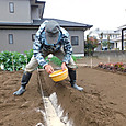 土中の微生物の餌に米ぬかを埋設