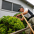 剪定鋏を使い車庫裏の庭木の剪定作業