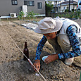 ビール瓶の底を押し当て大根の種の点播き