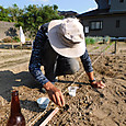 大根の種をビール瓶の底を押し当て点播き