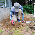 ４日間要した墓殿道の草取り