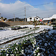 ３日間をおいての降雪