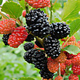 Dscn0058