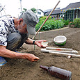 モロッコの種を点播き