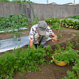 Dscn9674
