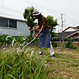 隣地の伸びた草を刈り払う