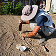ビール瓶の底を押し当て大根の種の点播き
