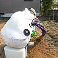「かる助」をお尻に敷いて草取り