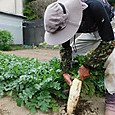 Dscn9884