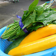 Dscn9910