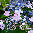 Dscn9903