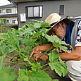 Dscn9963