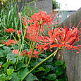 Dscn0009