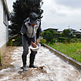 白菜苗植え付け予定ほ場に苦土石灰を散布