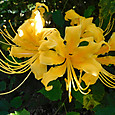 Dscn0026